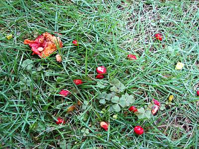 �����ˤ�����������ä����̤������������