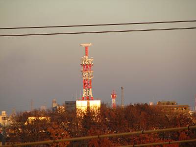 �ޥߡ��ޡ��Ƚ�������Ź���鸫��NTTŴ��ٷ����NAC