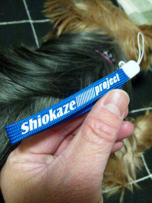 �����������ȥ�å�