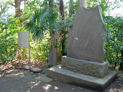 ������ �ٻιֵ�ǰ��