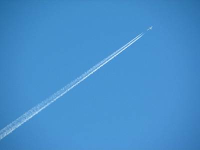 �ޥߡ��ޡ��Ƚ�������Ź���鸫�����Ե���