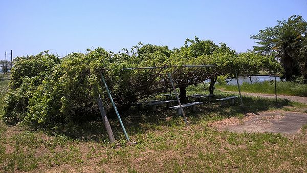 Ļ����¤�ƣê��