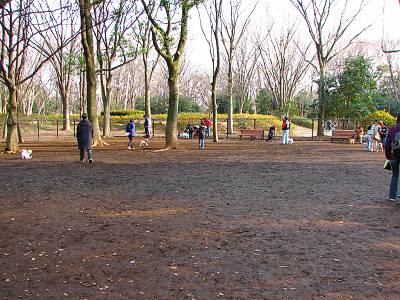 �����Ҷ���ǰ����ɥå����־����ʥ�����󥨥ꥢ��