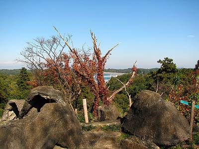 �����ٻ�ĺ��