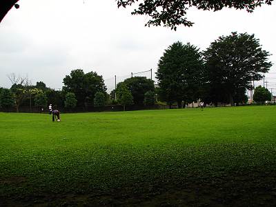 ���ֻ���ʪ��ALIT�λ�̱����