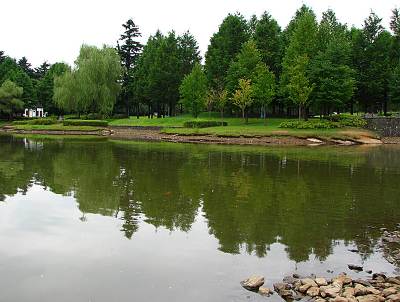 �̤ο����ָ���β���