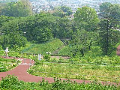 �����ή