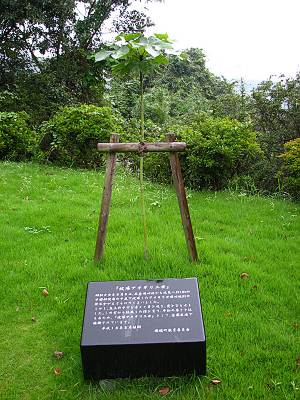 ����Į ʿ�µ�ǰ��ˤ�������������������