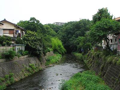 ʥ�ο���ή�Τ�⤮������