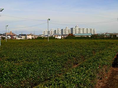 ���ߥ�޼���