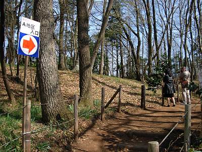 ���褻��������ޤĤ�A�϶�