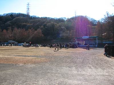 �����ĥ�����ưʪ������Ĥι���