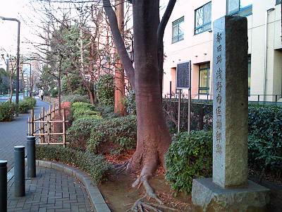 �����⾢Ƭš��