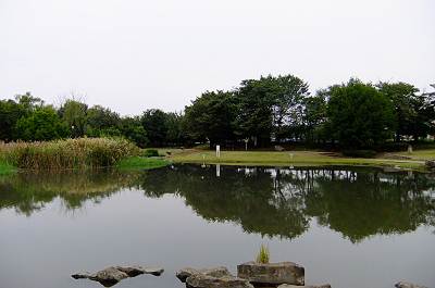 F70EXR�ι��Ѥ��äѤ�