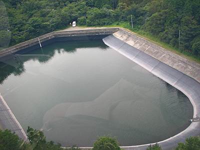 ��Ͱë�����ץ������αؤβ��ˤ�����