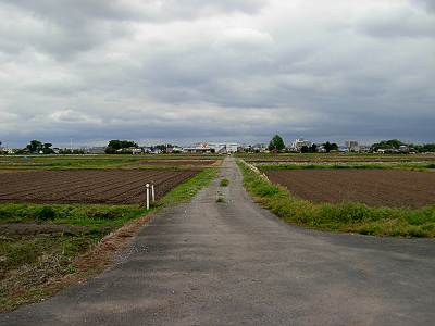 �ٻθ����Ĥ��5����콵