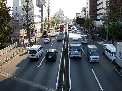 毎日がレビュー 環八に見る群馬サファリパークの看板