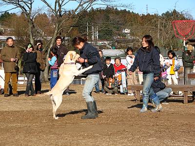 毎日がレビュー 東京ムツゴロウ動物王国のアオちゃんとごはんちゃん