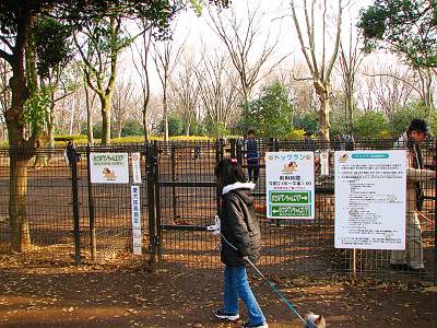 �����Ҷ���ǰ����ɥå��������