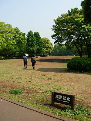 �̤δݸ��� ��ư�ػ�