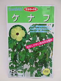 ���ʥդΥ���