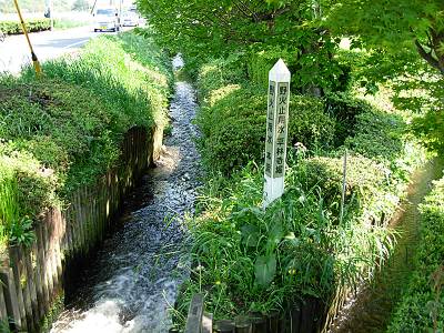 ��л��ѿ��ʬ������