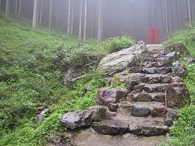 �����ή��������