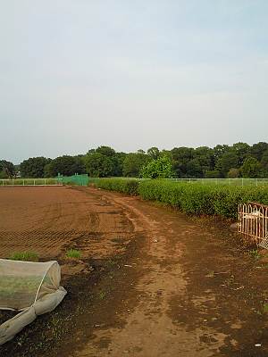 830CA�ǻ��Ƥ��������Ԥ�Ȫ