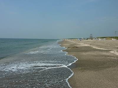 富津岬の海岸