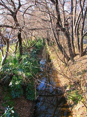 ������ �����������ή