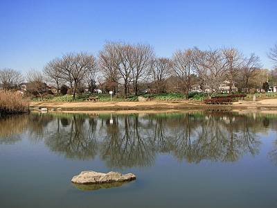 �����⻳���ϸ���