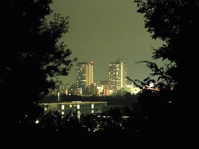 ���ֻ�������ٻλ���������ݥ����