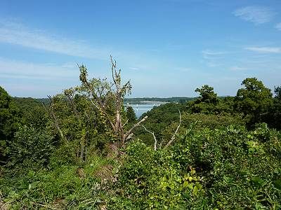 狭山富士からの眺望