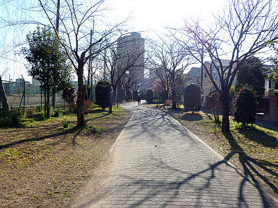 白幡沼の遊歩道