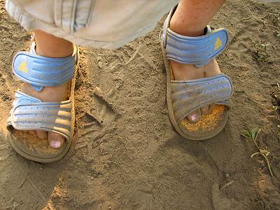 �����ԤΤҤޤ��Ȫ�Ϻ���