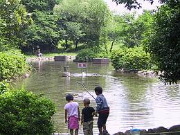 ��ξ�Ԯ�������