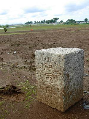 �����ѤǤ�