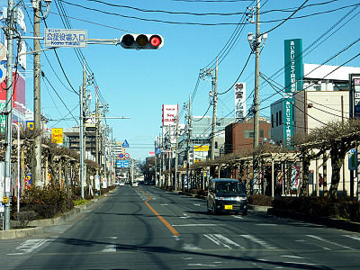春日部駅に向かう道の両脇には藤棚