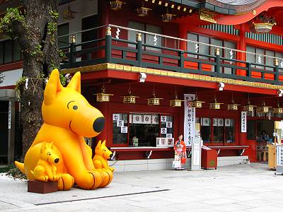 ����������Jolly����3