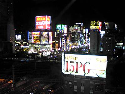 大都会新宿が見えるトイレその1