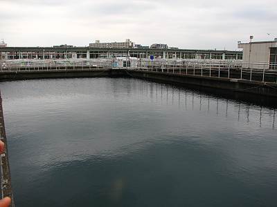 ���Ǥ���