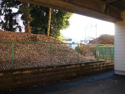 ������־줫�鸫��������Ԯ������