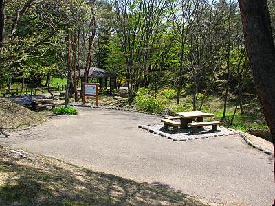 �������������