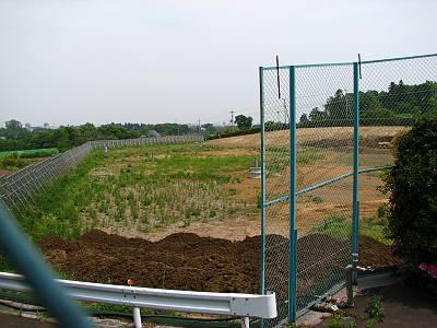 ����ǽ���ʬ��