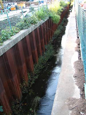 ����������Ŀ�ϩ��