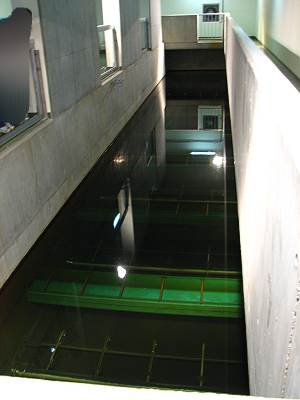 ���ʤ�����