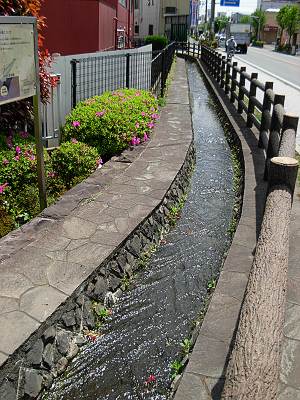 �����餮��ϩ