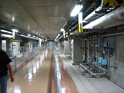 ���پ����������