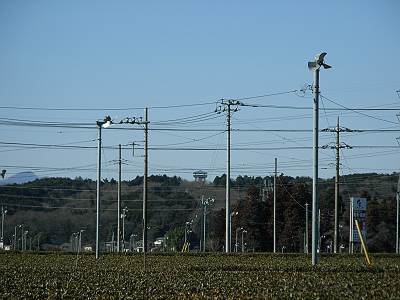 �̿��ο������Ÿ˾��