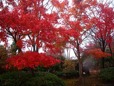 �������Ӹ���ι���